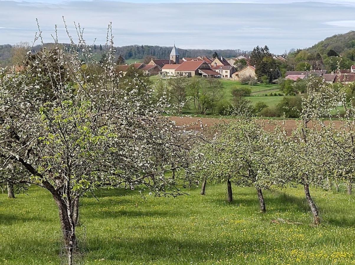 Laferté-sur-Amance Chateau D'Impasse מראה חיצוני תמונה